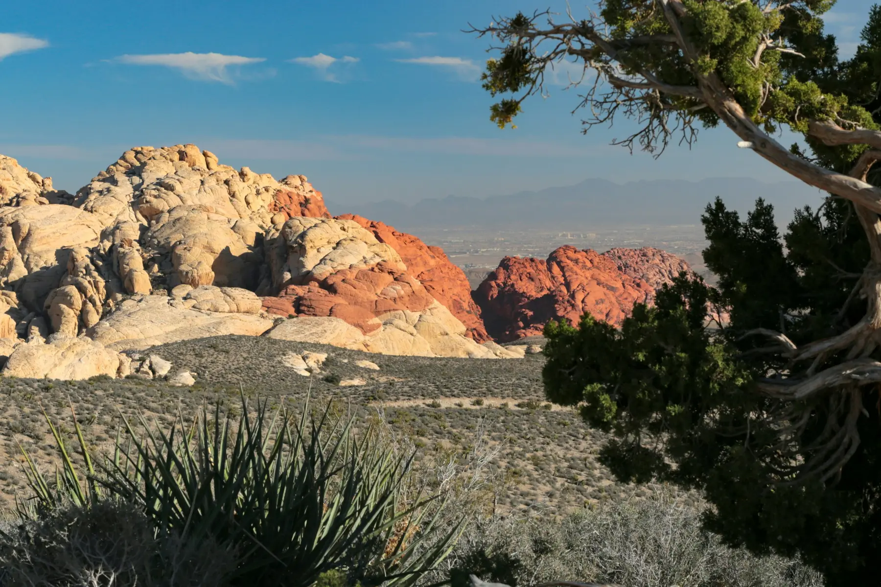 Desert cliffs