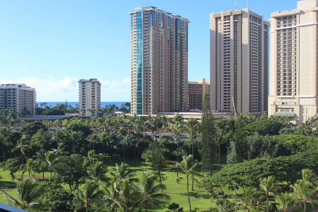 Waikiki hotels and palm trees overlooking the ocean